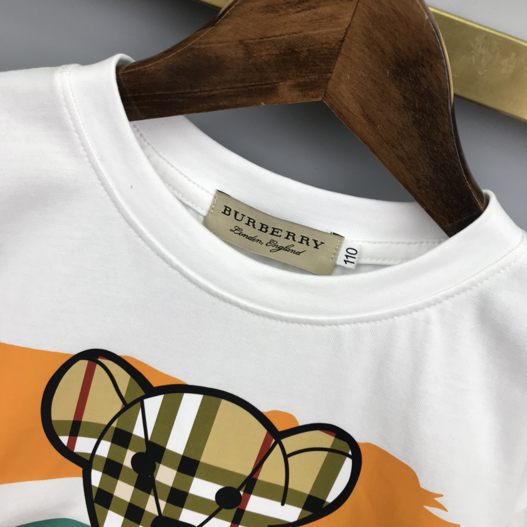 Burberry 2022 T-shirt and Skirt Set