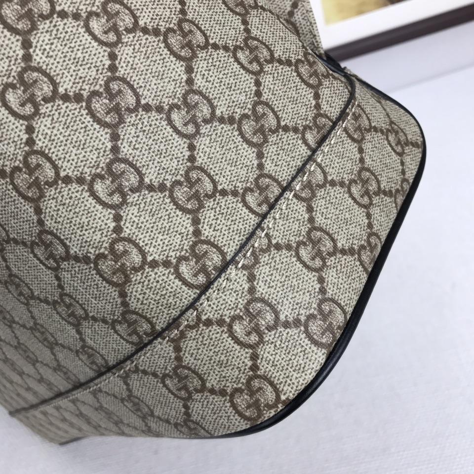 Gucci Perfect Quality simple brown back pack GC06BM129