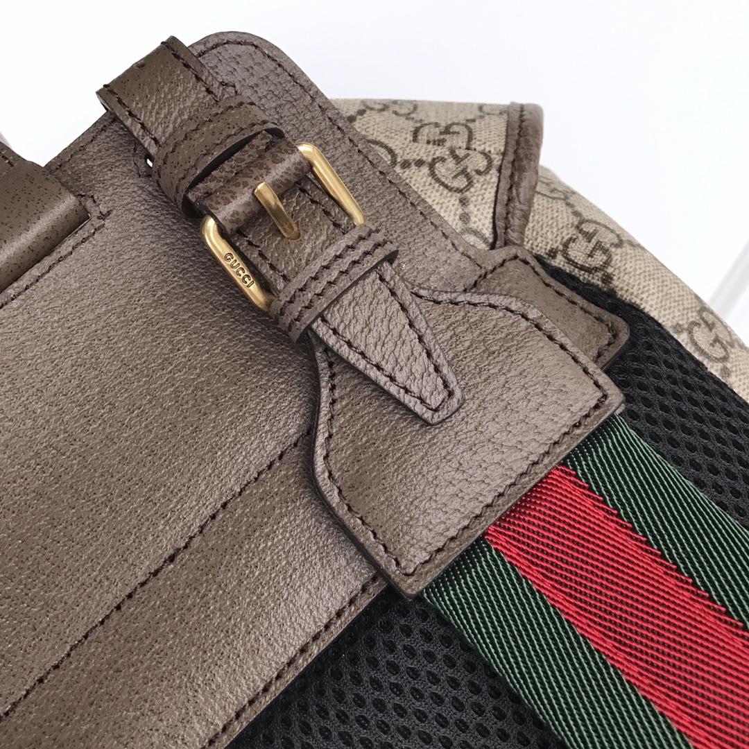 Gucci Perfect Quality Canvas Flap-top Backpack GC06BM136
