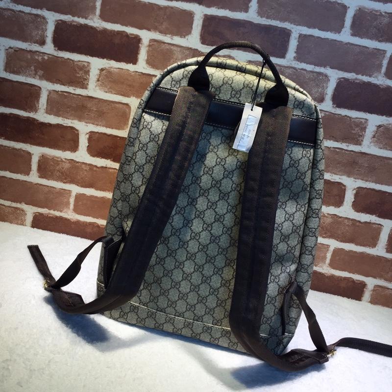Gucci Perfect Quality brown simple back pack GC06BM097