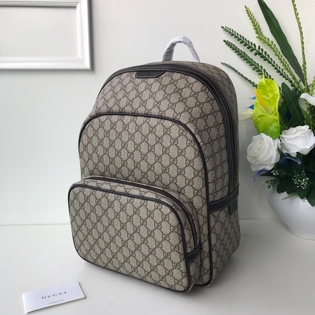 Gucci Perfect Quality brown back pack with black trims and straps GC06BM117