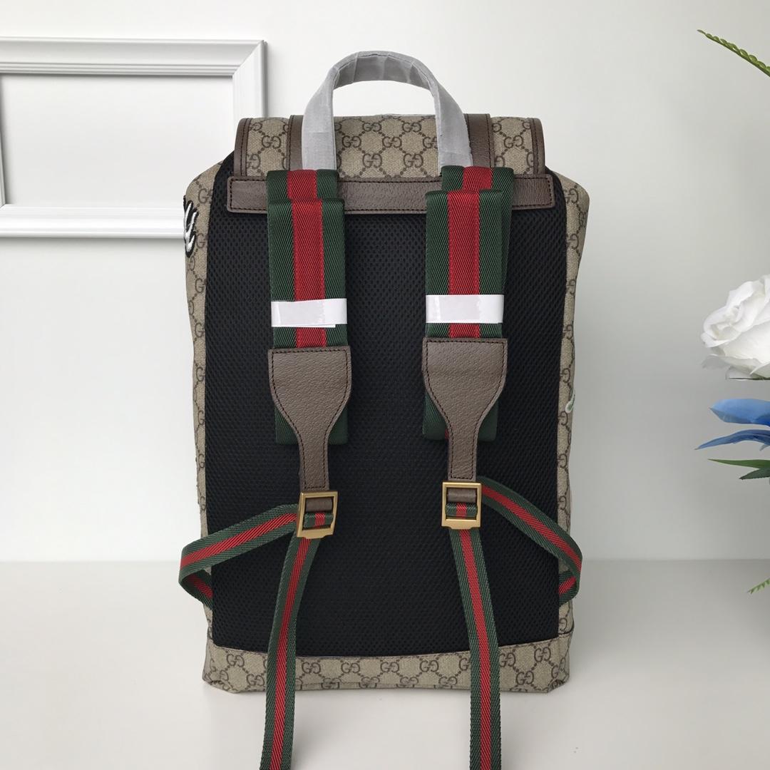 Gucci Perfect Quality brown back pack GC06BM011