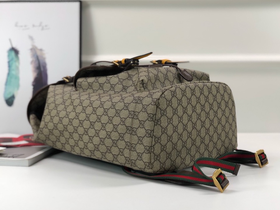 Gucci Ophidia Handbags