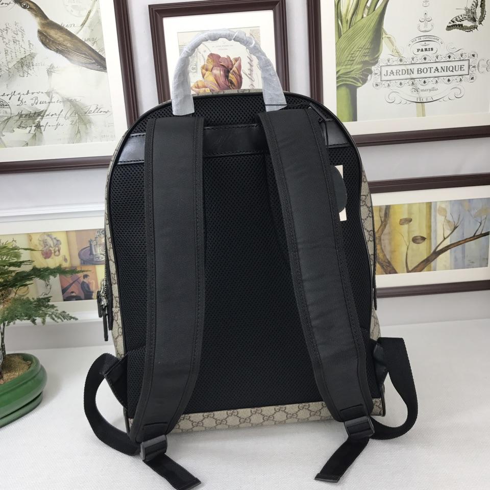  Gucci Perfect Quality simple brown back pack GC06BM104