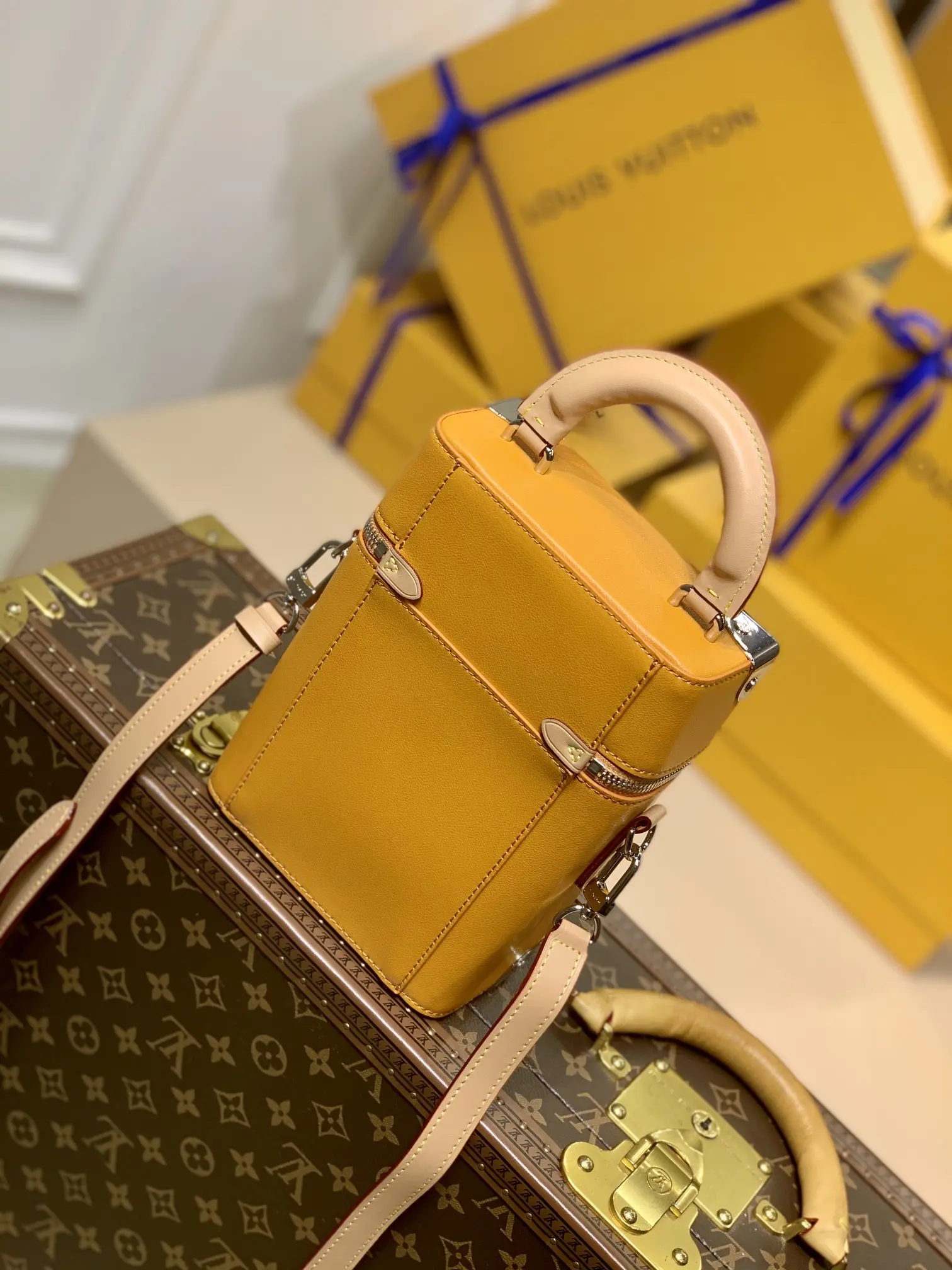 Louis Vuitton Vertical Box Trunk Handbags 