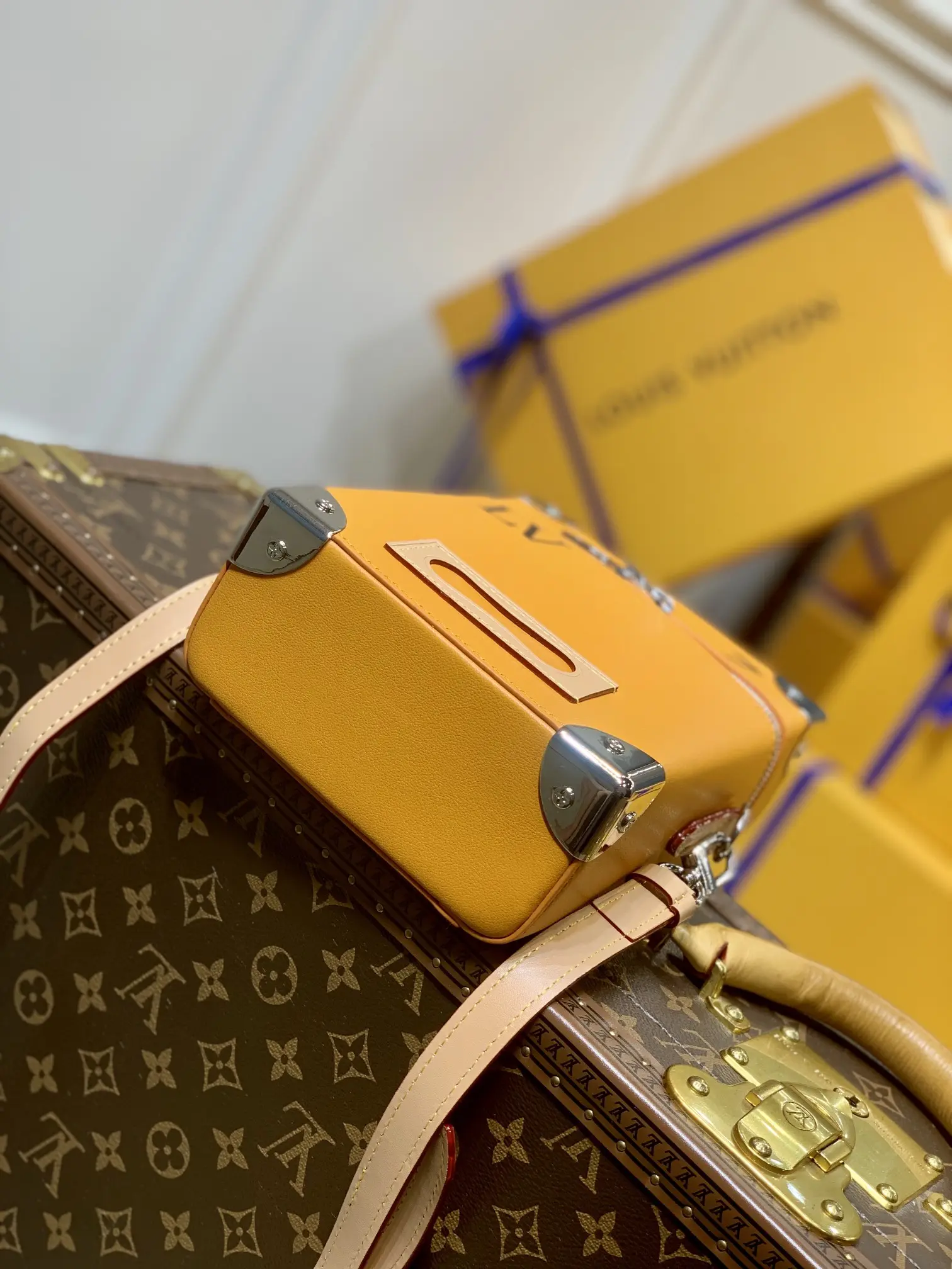 Louis Vuitton Vertical Box Trunk Handbags 