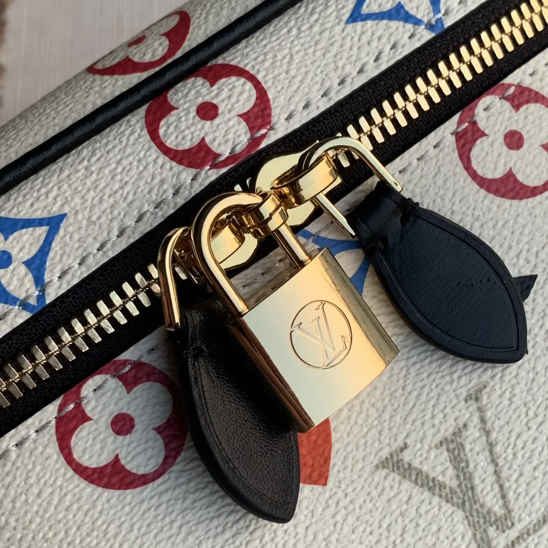 Louis Vuitton Vanity Handbags 