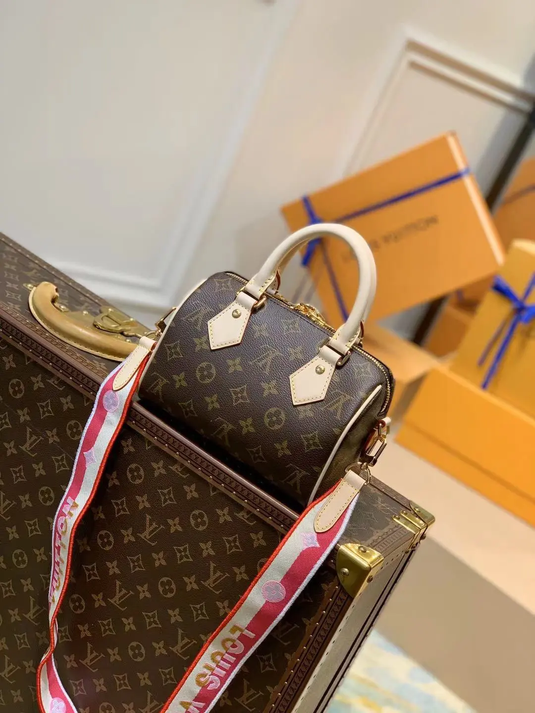 Louis Vuitton Speedy Handbags 