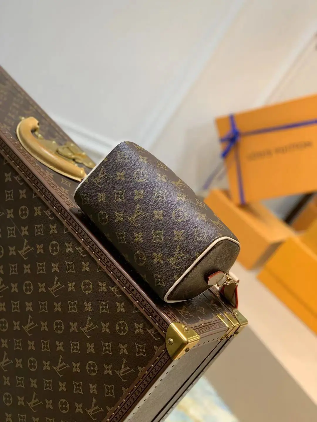 Louis Vuitton Speedy Handbags 