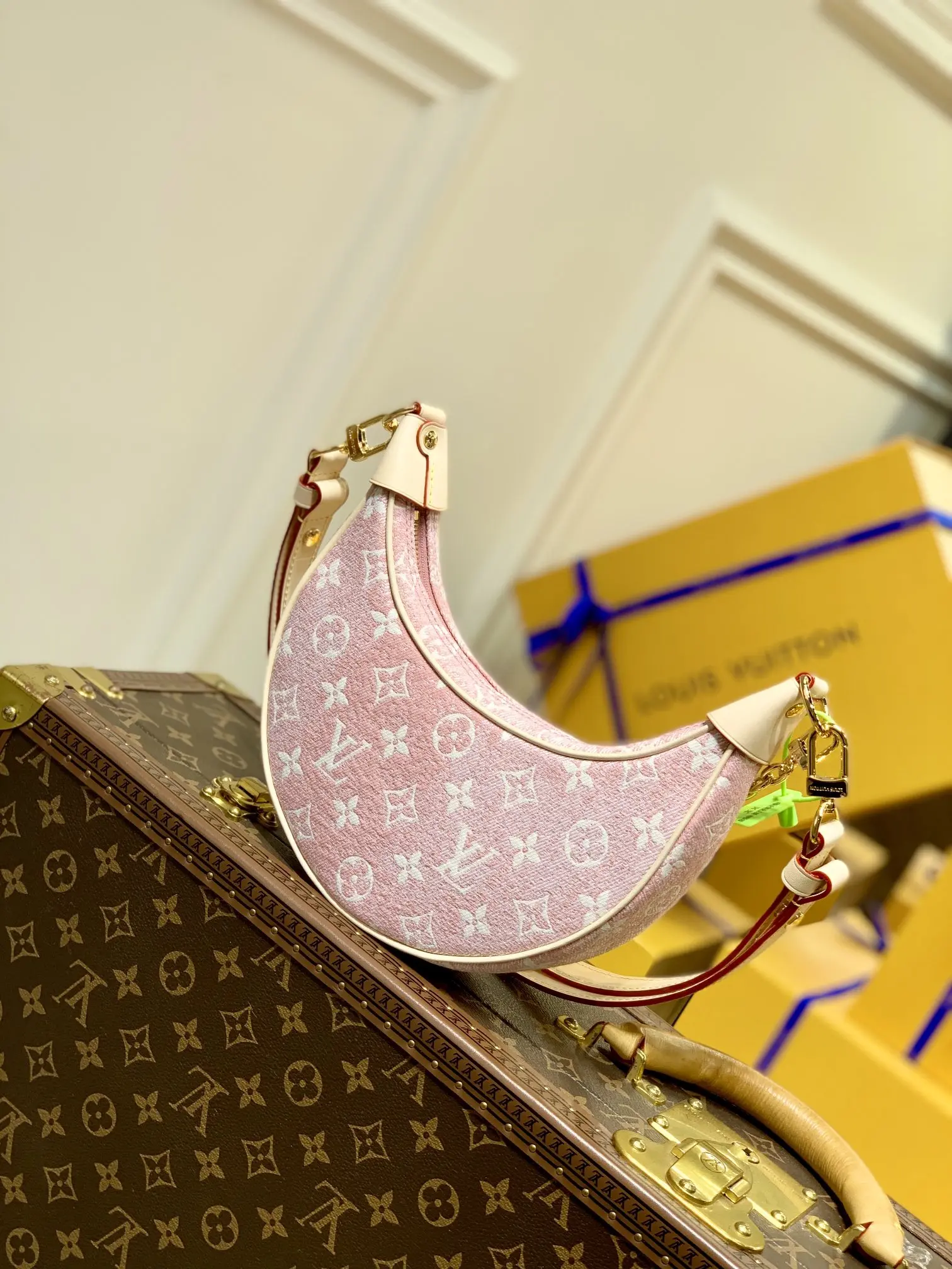 Louis Vuitton Loop Handbags 