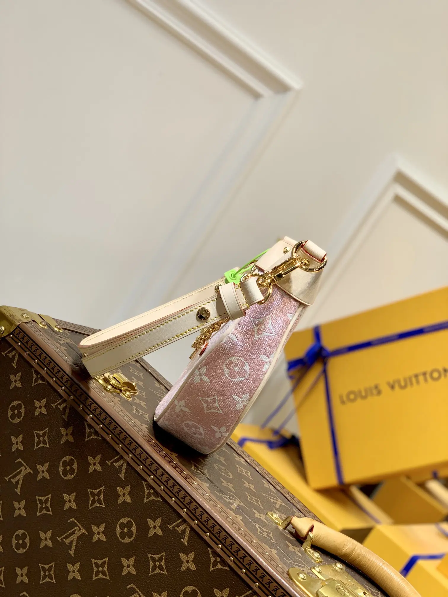 Louis Vuitton Loop Handbags 