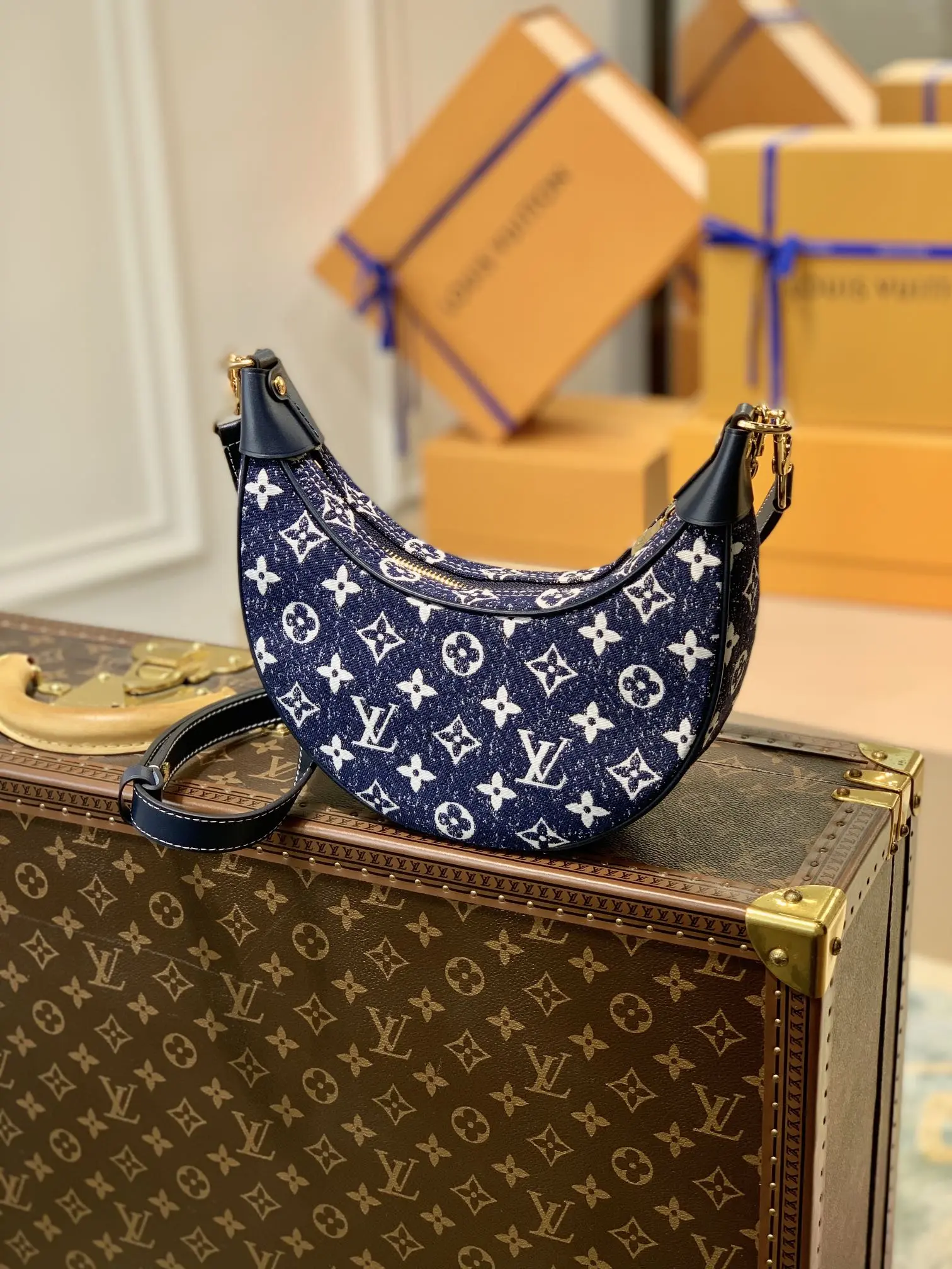 Louis Vuitton Loop Handbags 