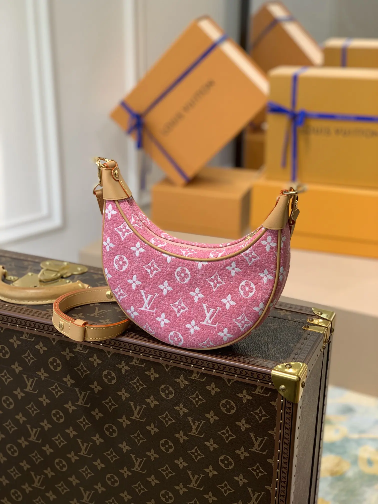 Louis Vuitton Loop Handbags 