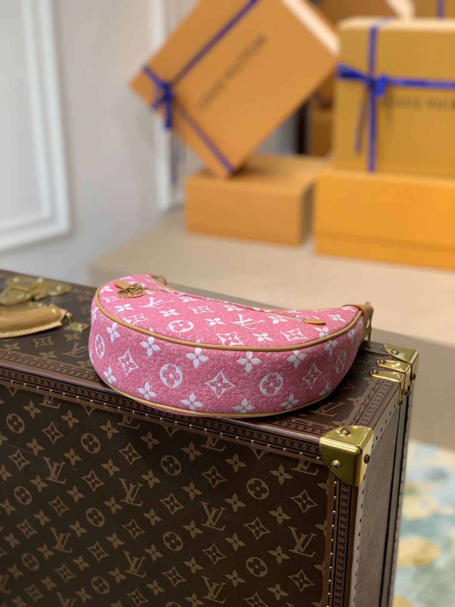 Louis Vuitton Loop Handbags 