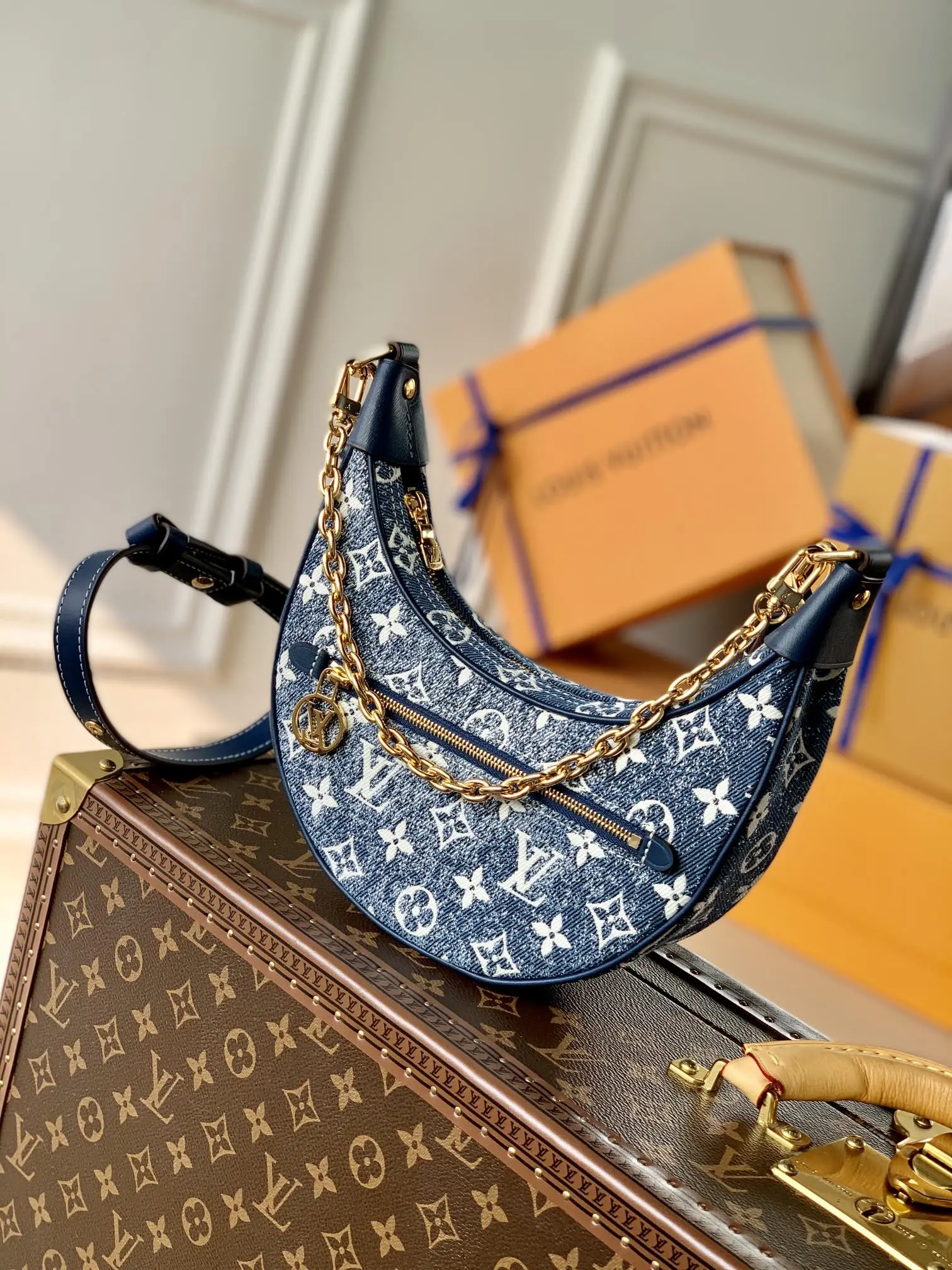 Louis Vuitton Loop Handbags 