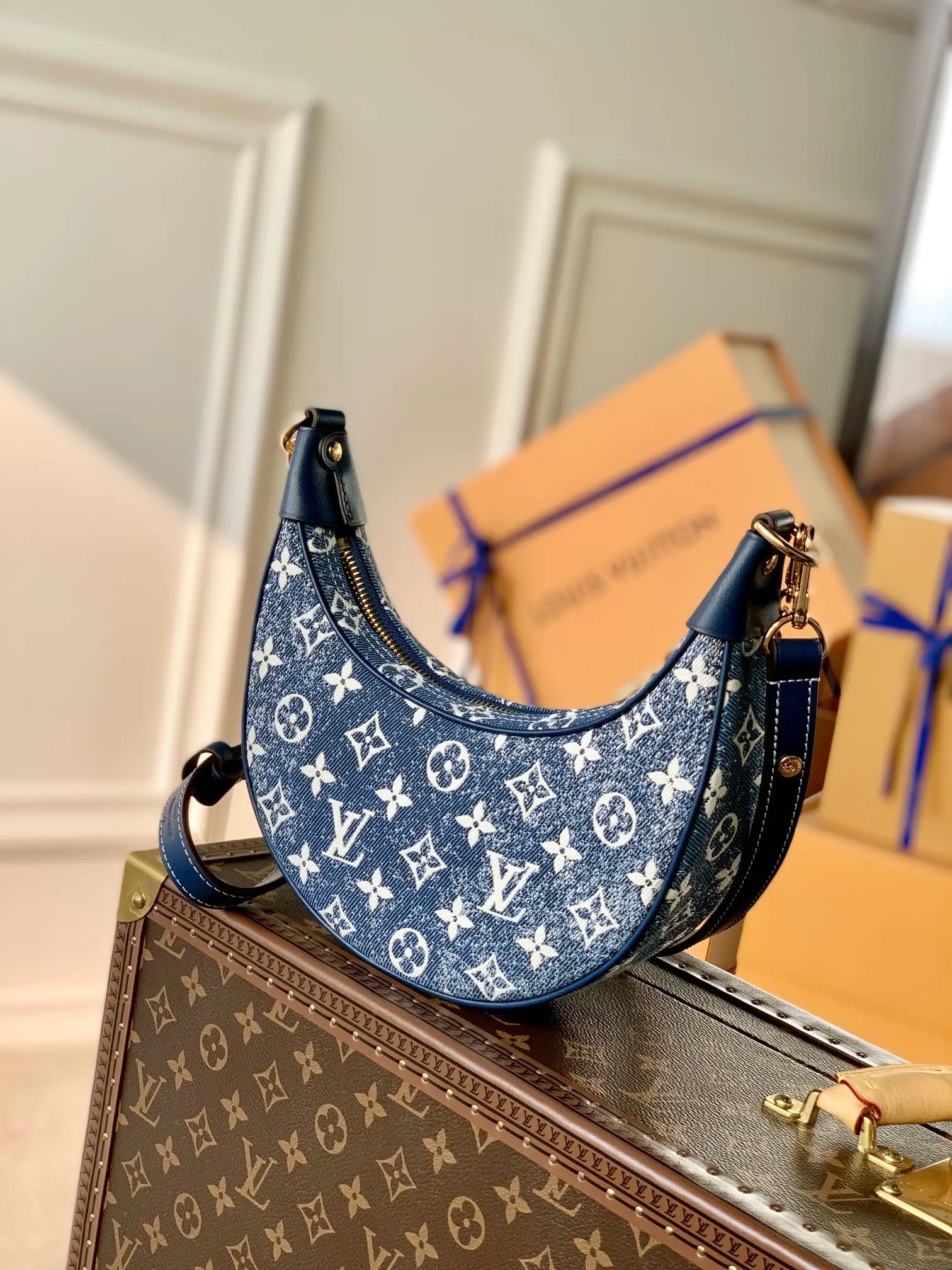 Louis Vuitton Loop Handbags 