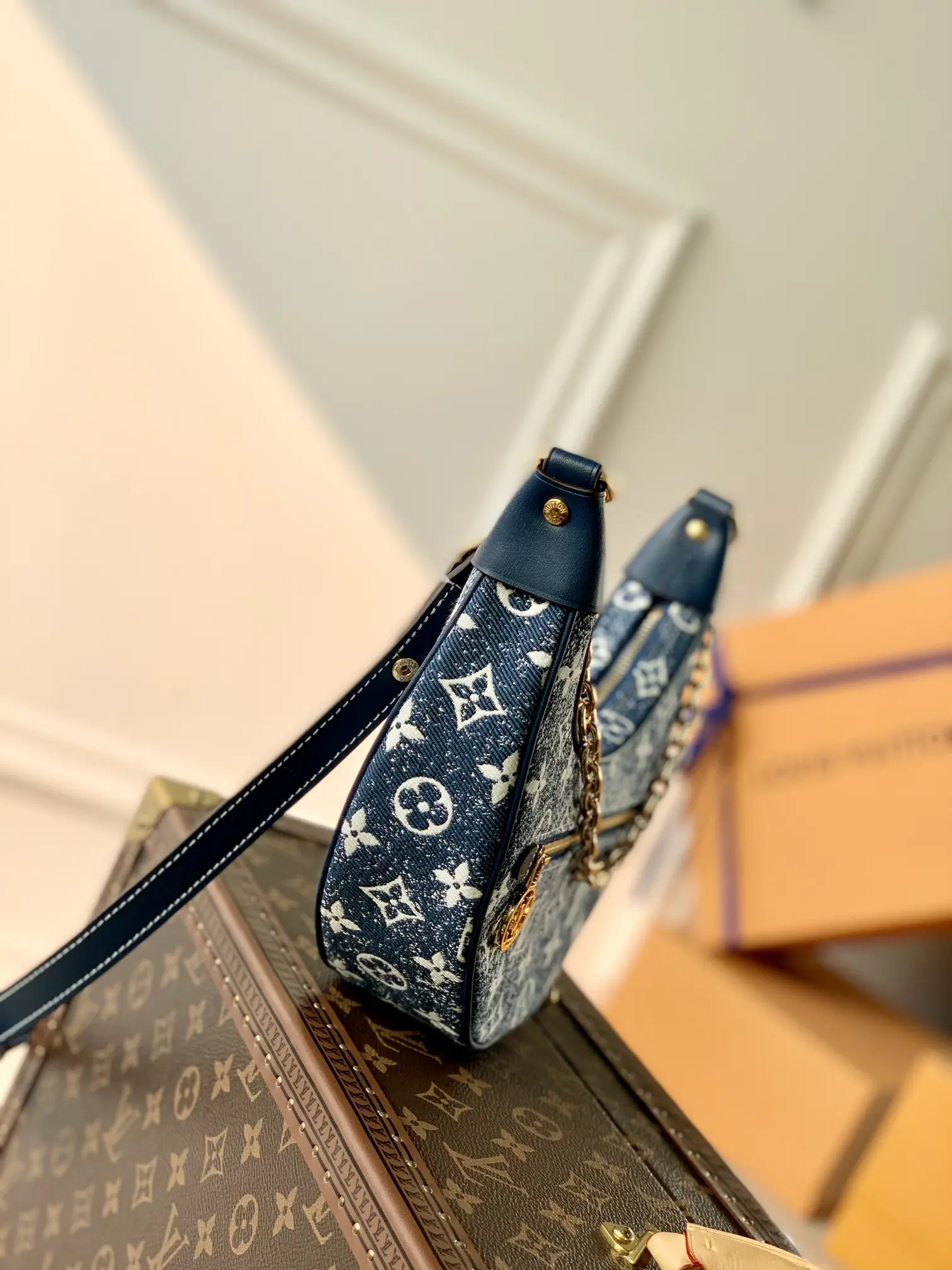 Louis Vuitton Loop Handbags 