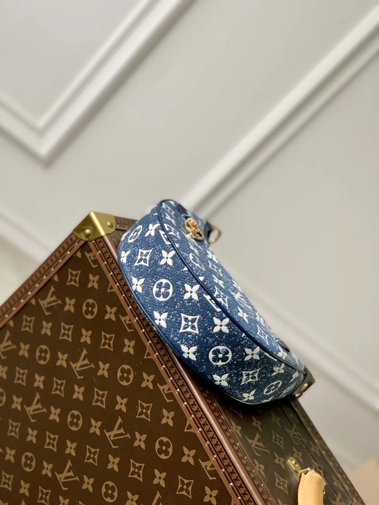 Louis Vuitton Loop Handbags 