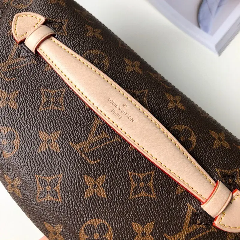 Louis Vuitton BUMBAG Handbags 