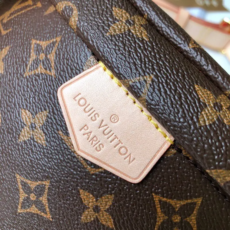 Louis Vuitton BUMBAG Handbags 