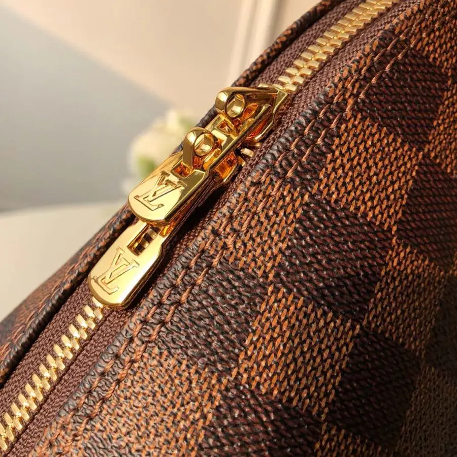 Louis Vuitton Alma Bridge Handbags 