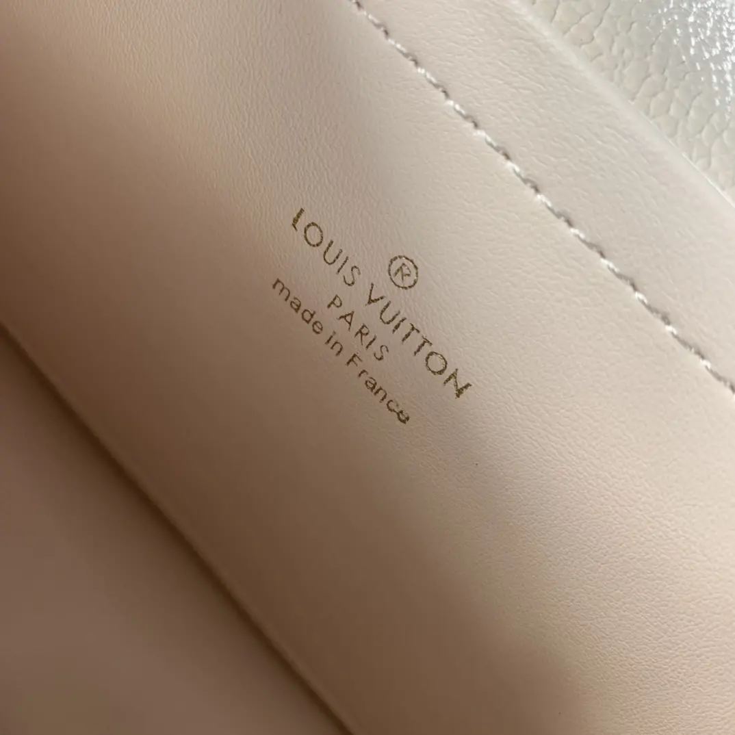 Louis Vuitton 2022 new small bags