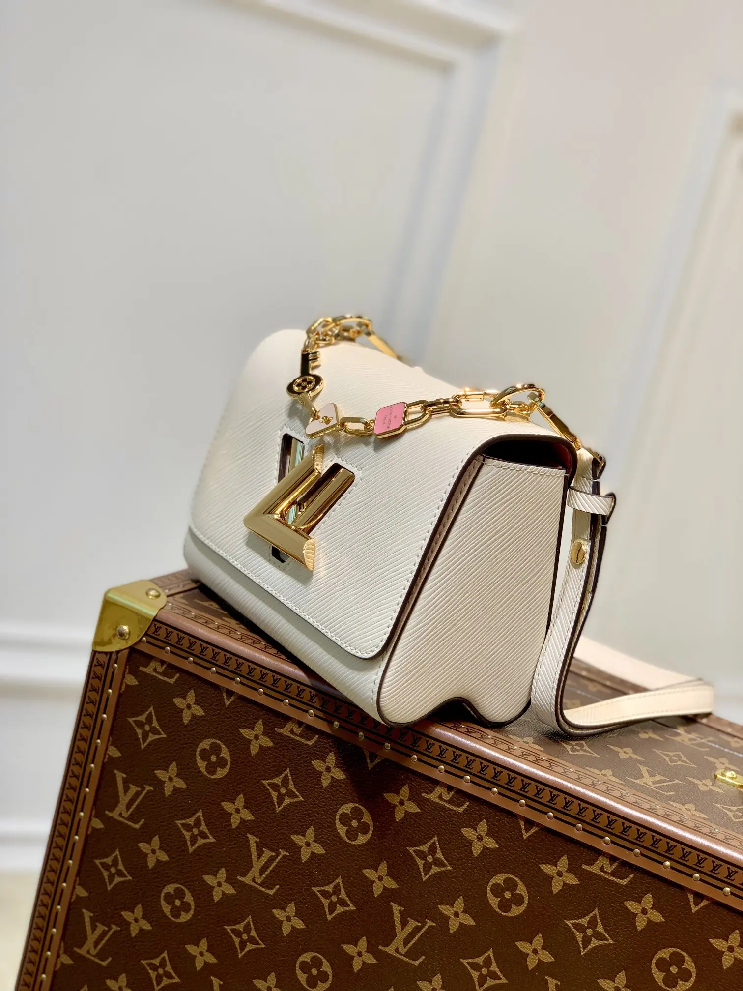 Louis Vuitton 2022 new small bags