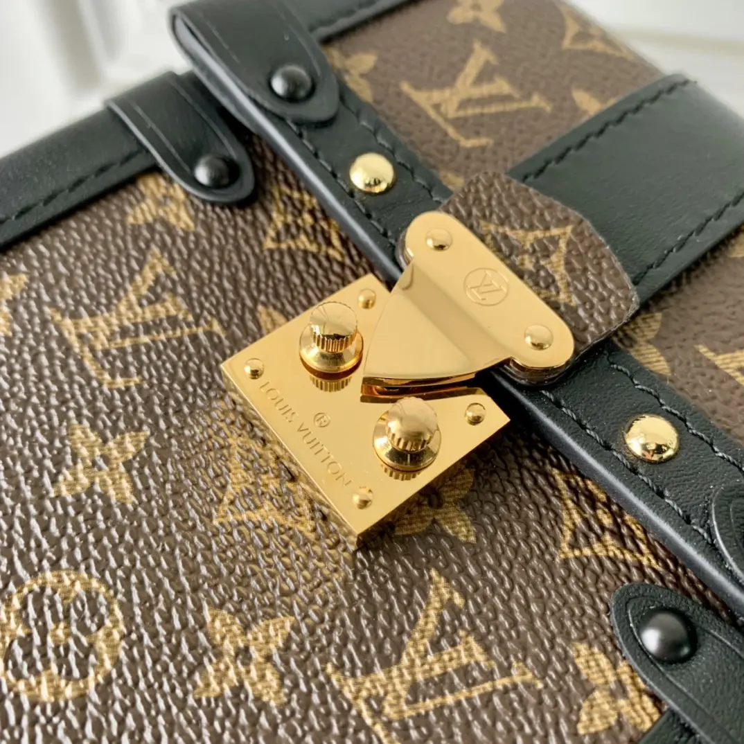 Louis Vuitton 2022 new small bags