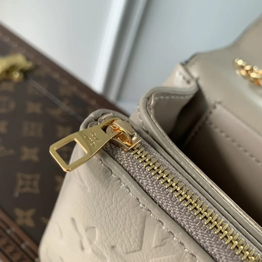 Louis Vuitton 2022 new small bags