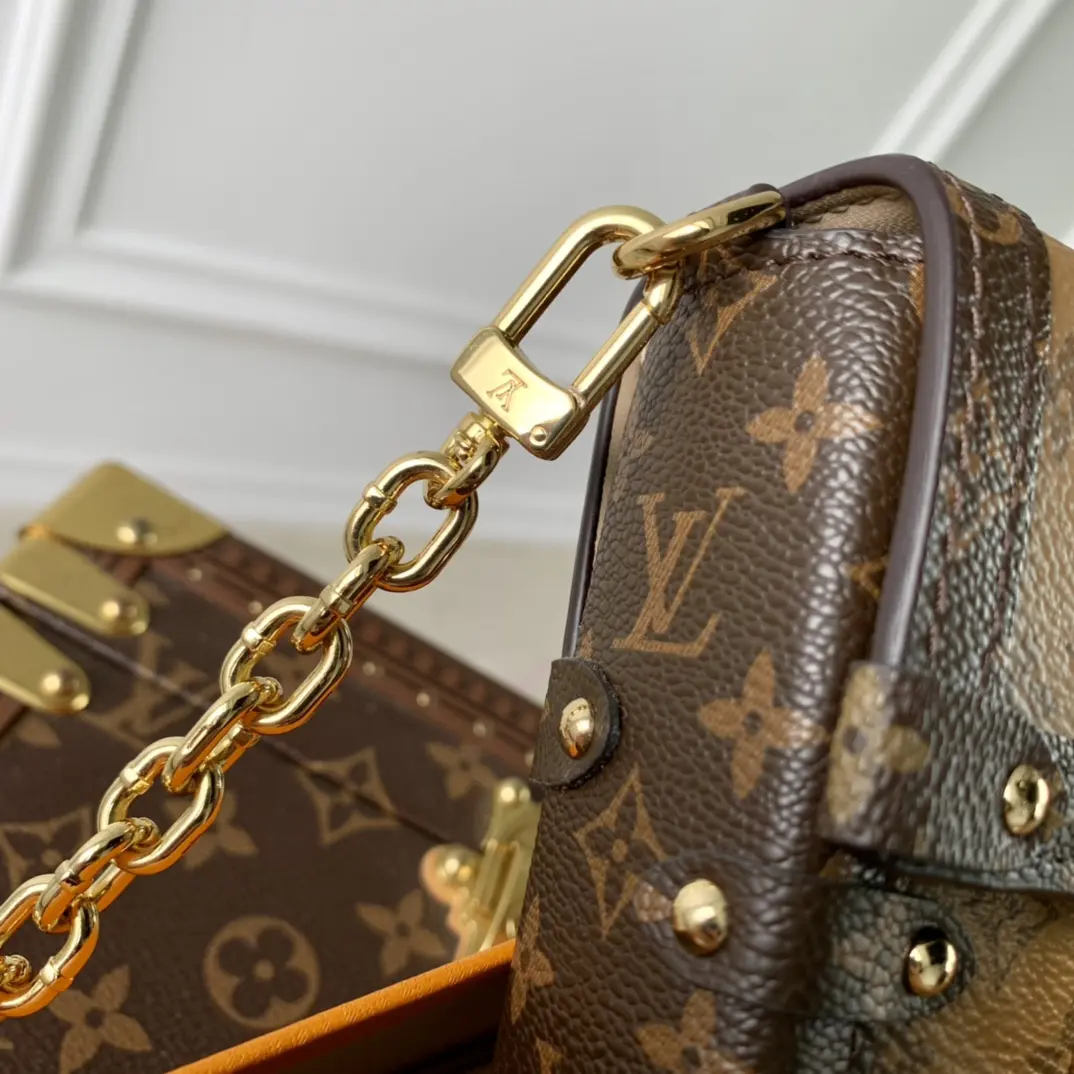 Louis Vuitton 2022 new small bags