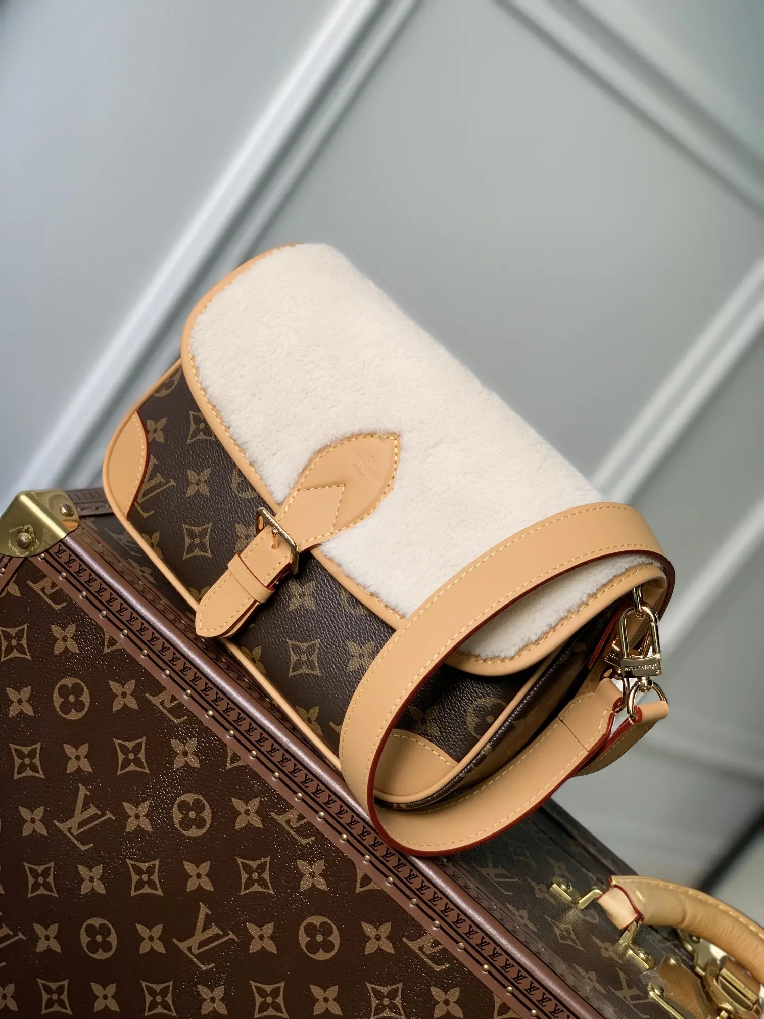 Louis Vuitton 2022 new small bag