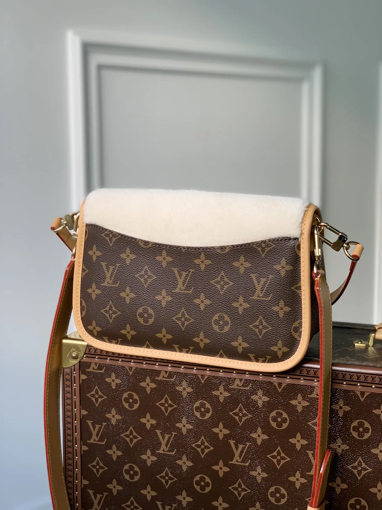 Louis Vuitton 2022 new small bag