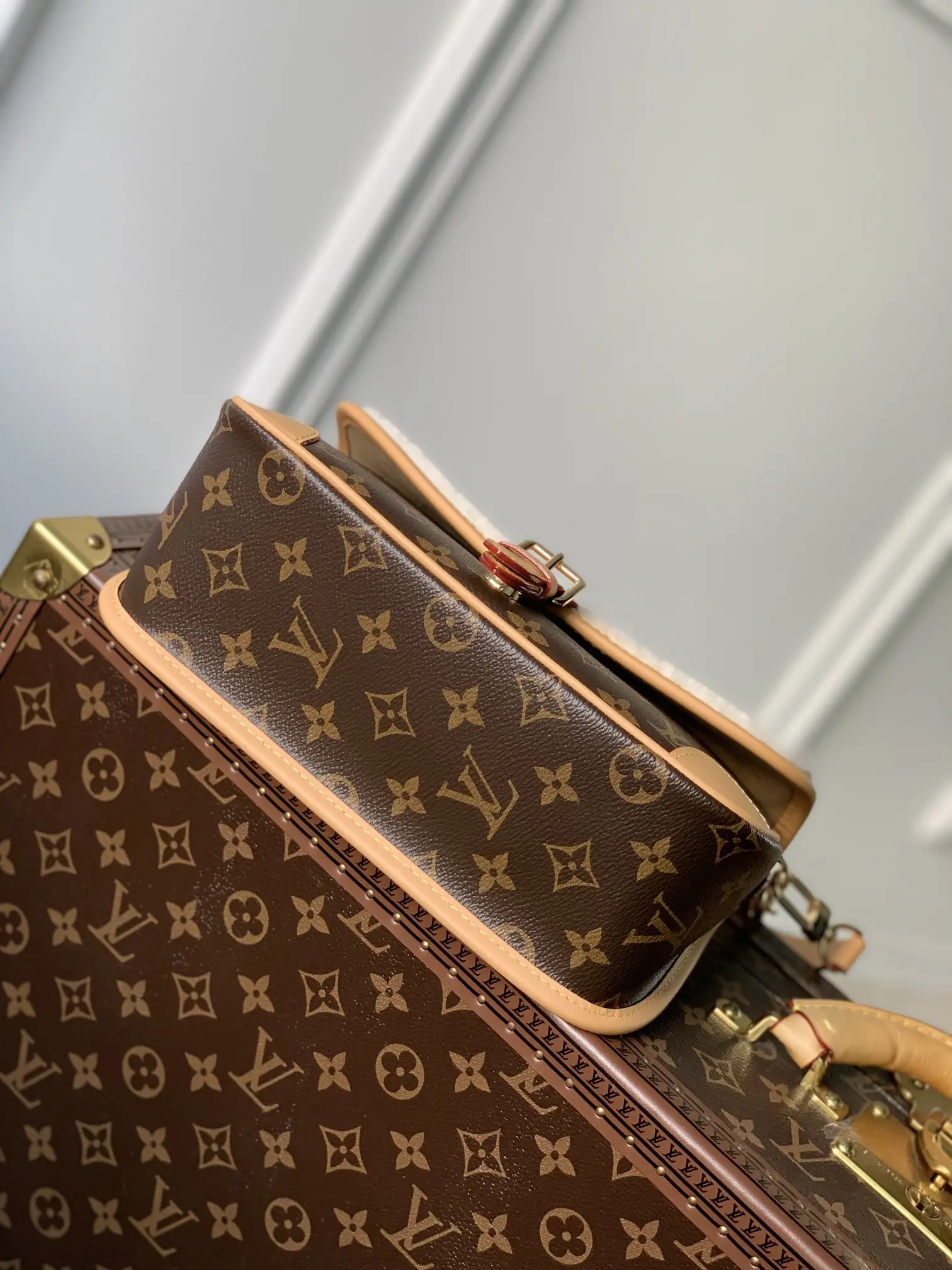 Louis Vuitton 2022 new small bag