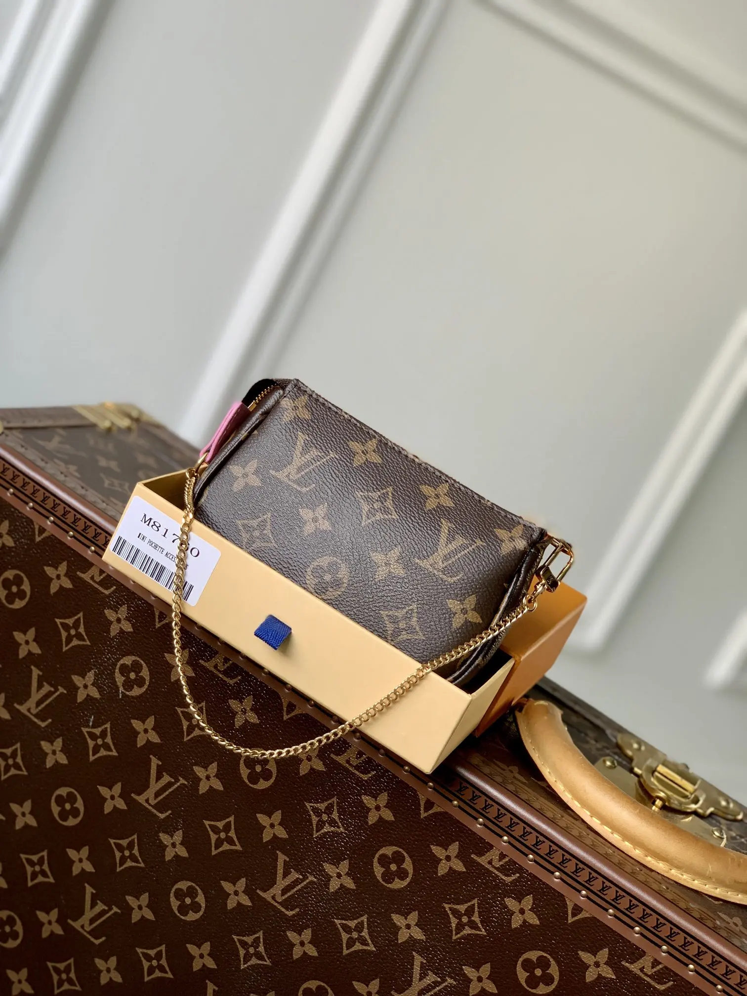 Louis Vuitton 2022 new small bag
