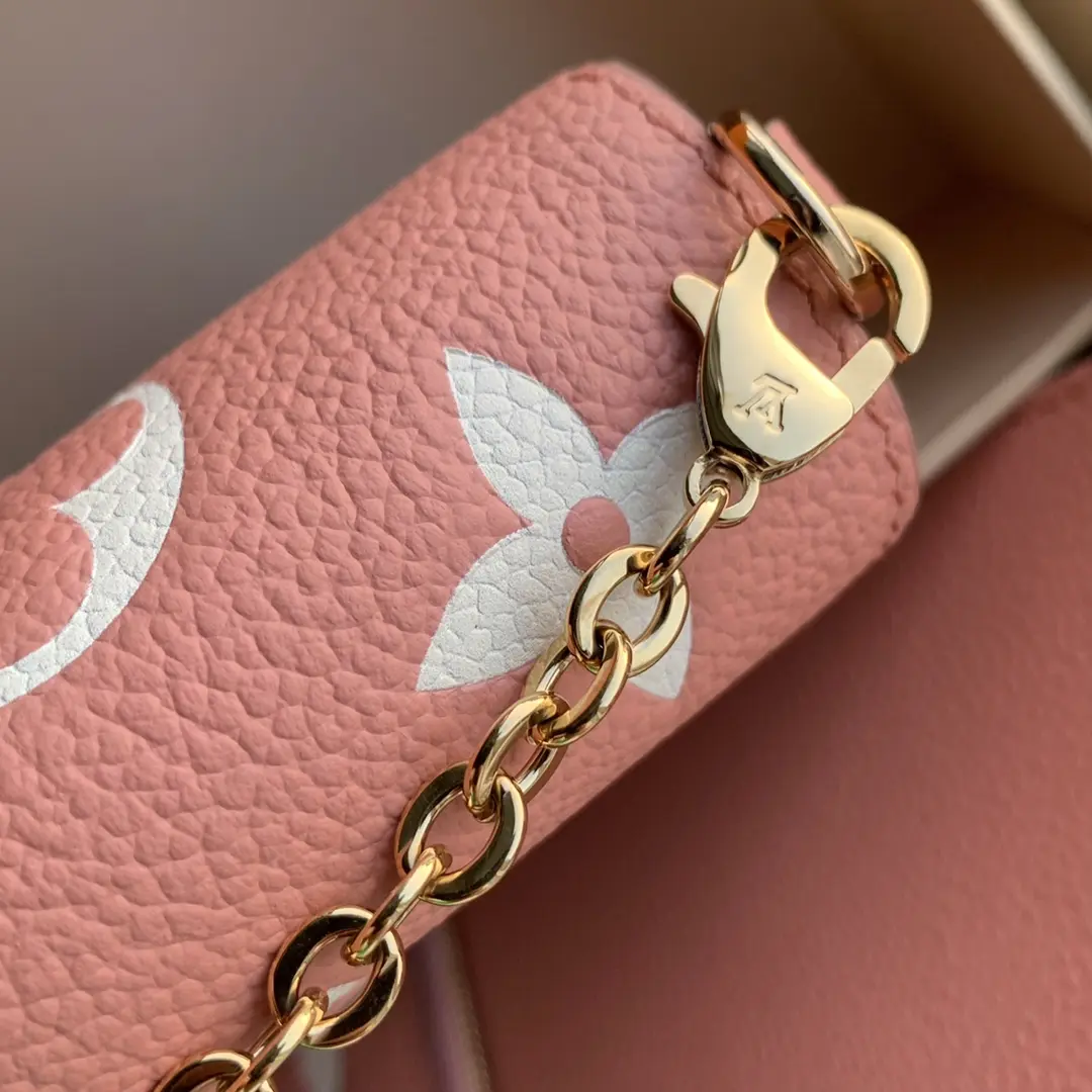 Louis Vuitton 2022 new small bag