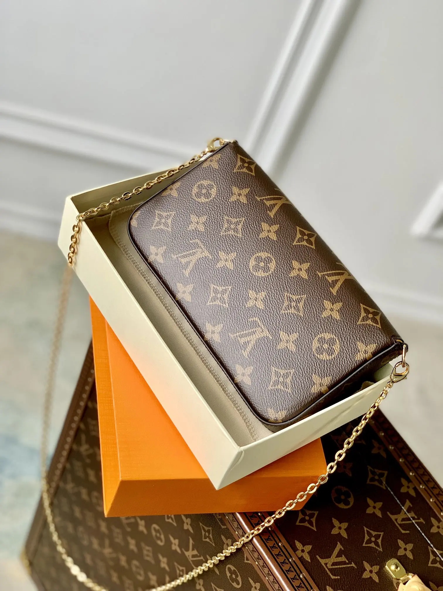 Louis Vuitton 2022 new small bag