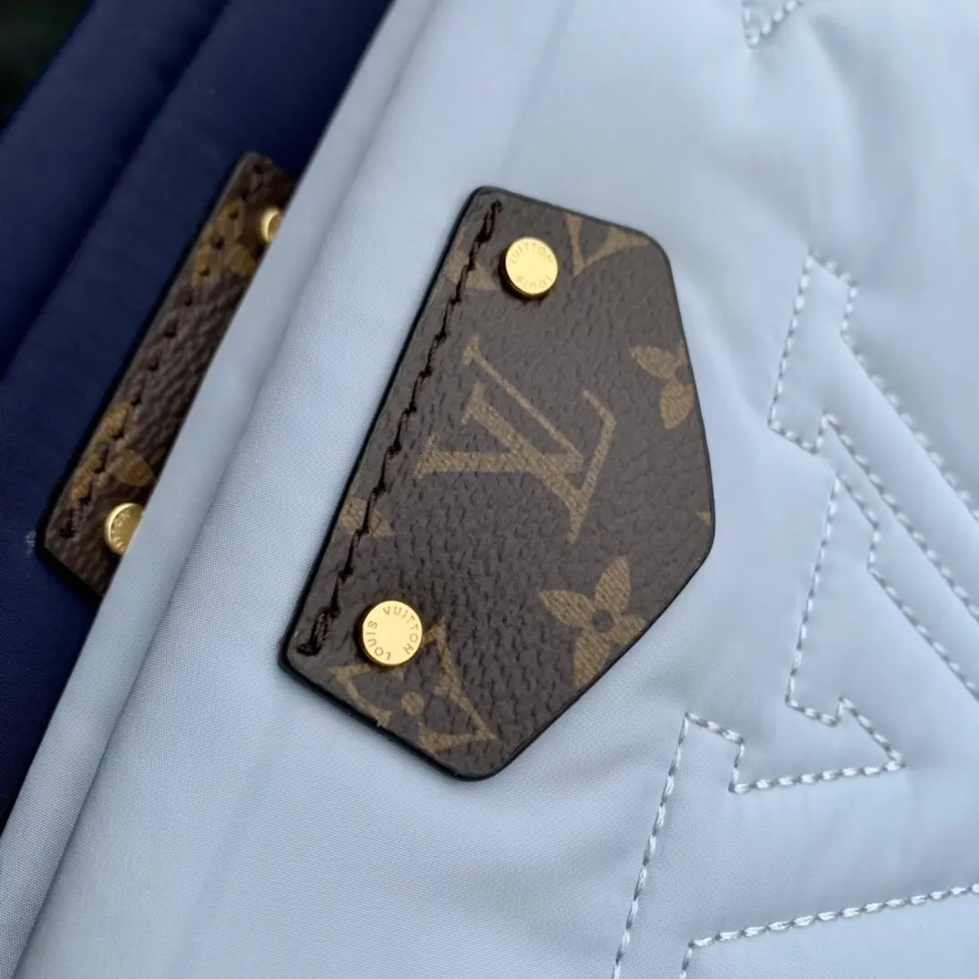 Louis Vuitton 2022 new sling bag