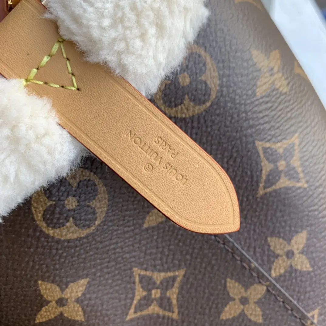 Louis Vuitton 2022 new sling bag