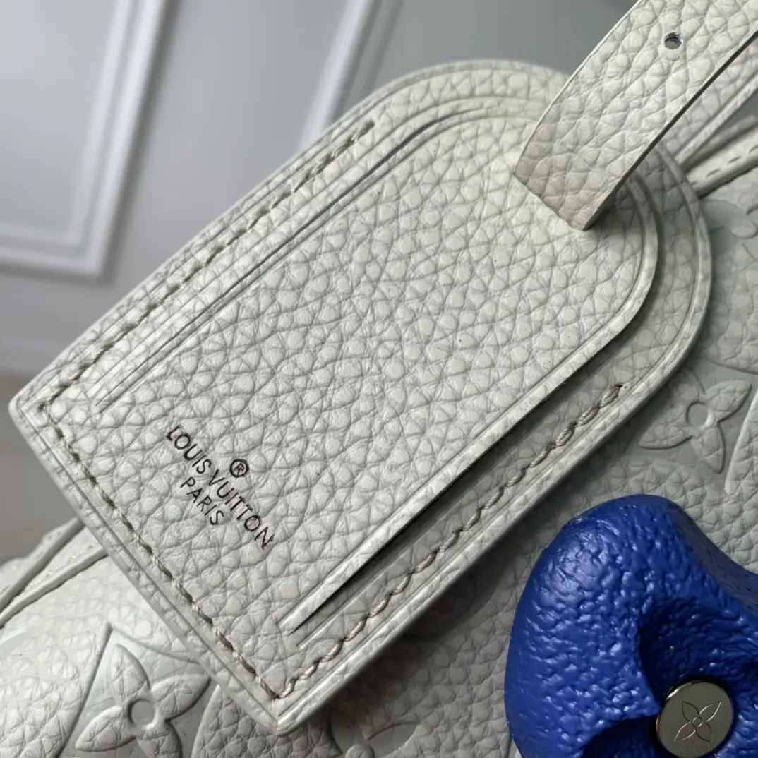 Louis Vuitton 2022 new sling bag