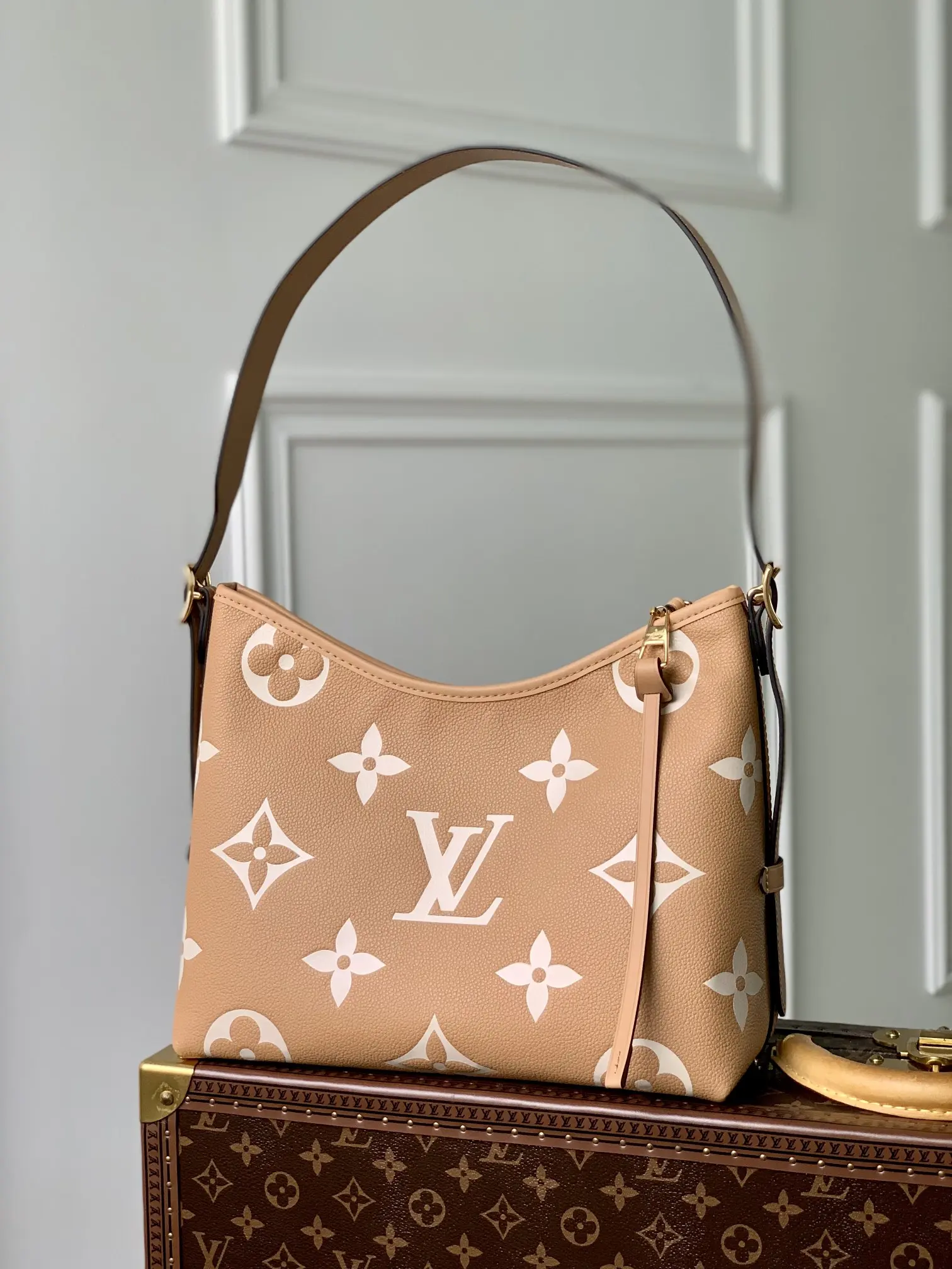 Louis Vuitton 2022 new shoulder bag