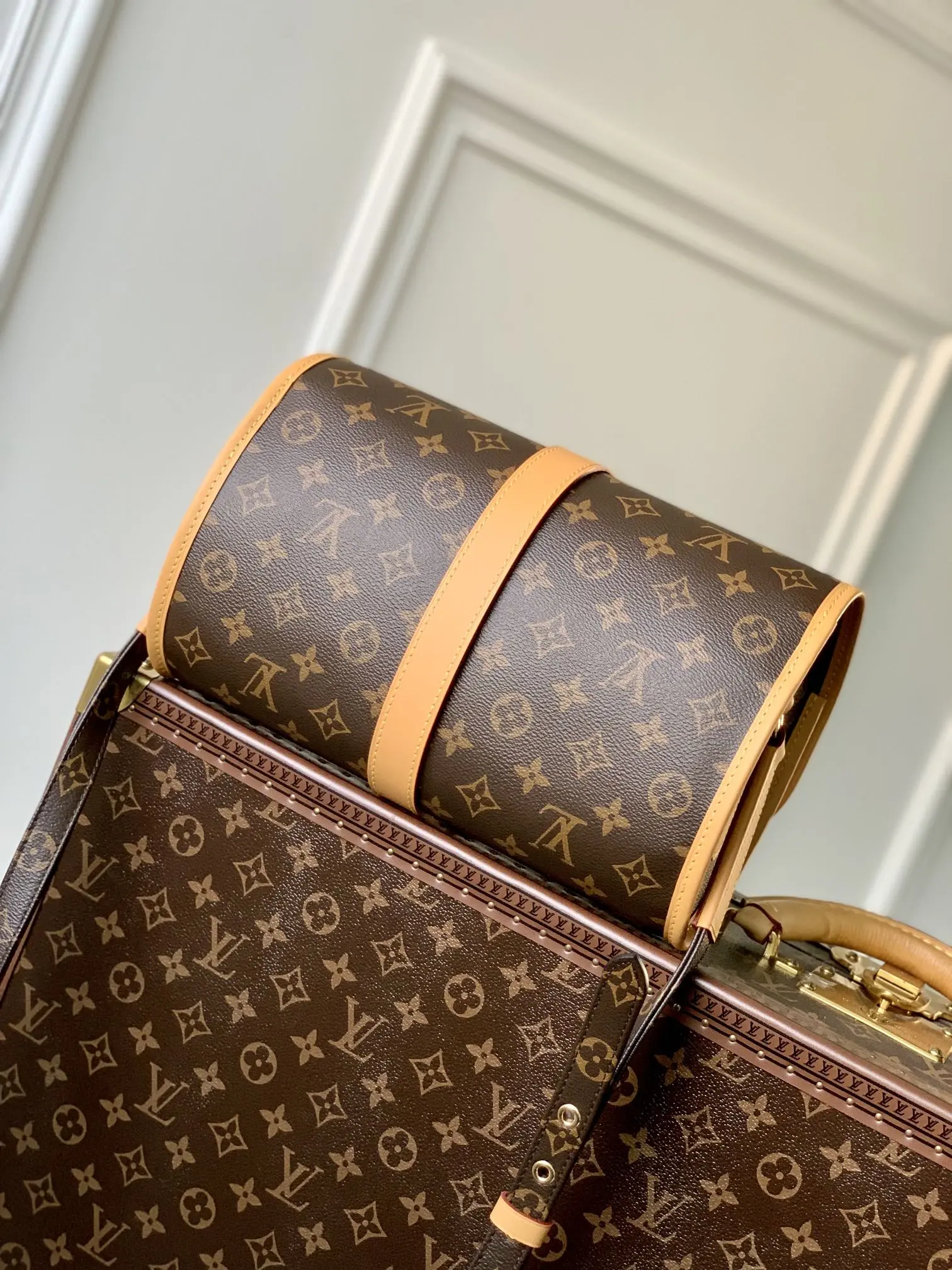 Louis Vuitton 2022 new messenger bag