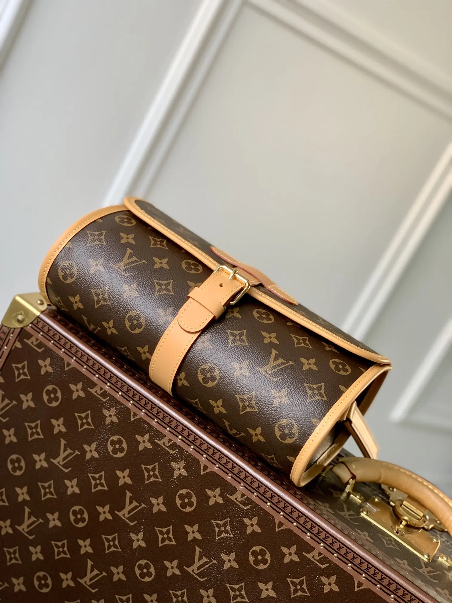 Louis Vuitton 2022 new messenger bag