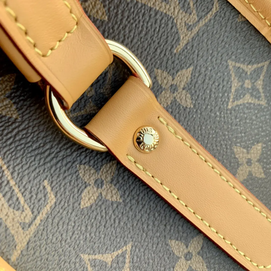 Louis Vuitton 2022 new messenger bag