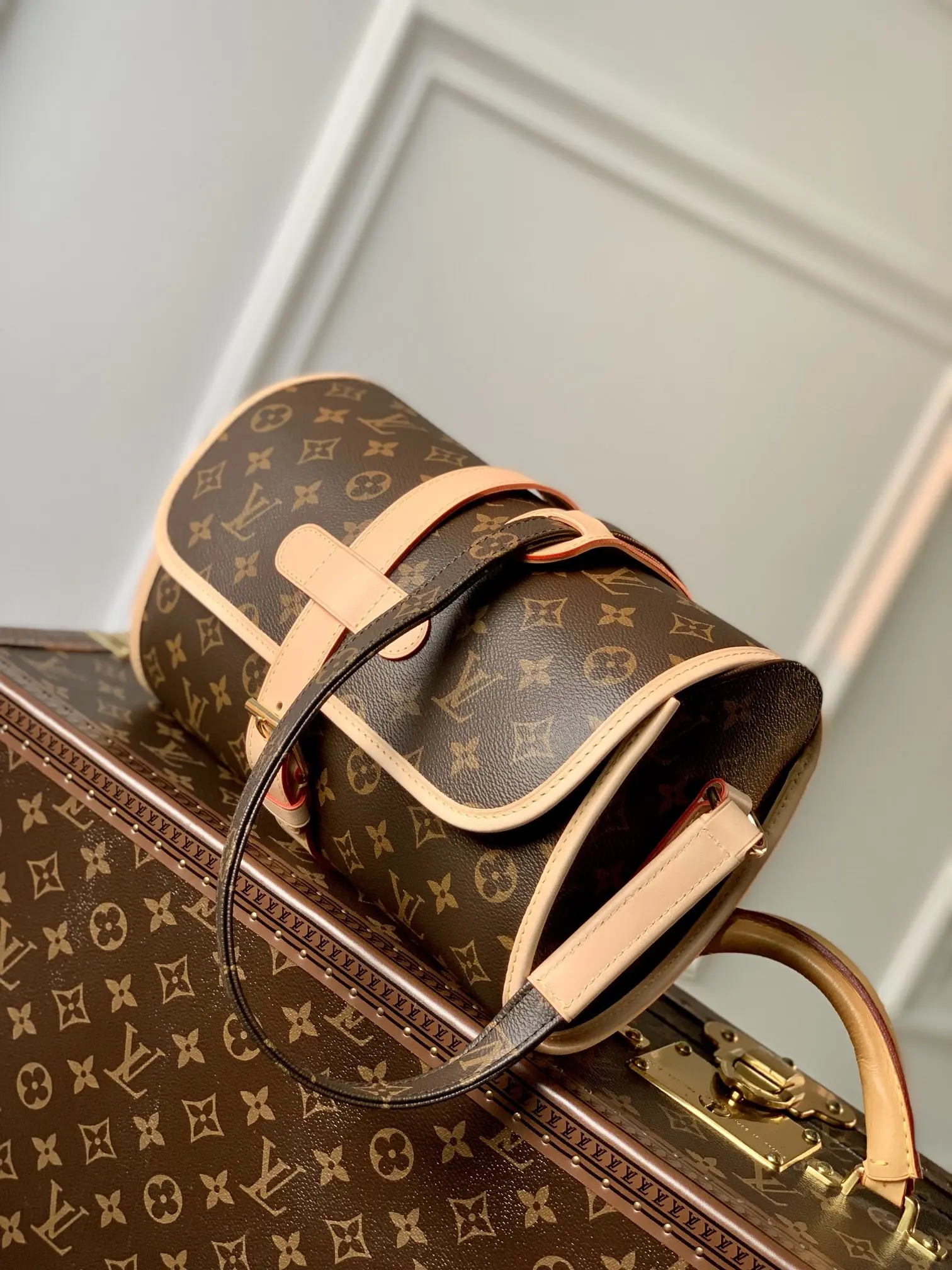 Louis Vuitton 2022 new messenger bag