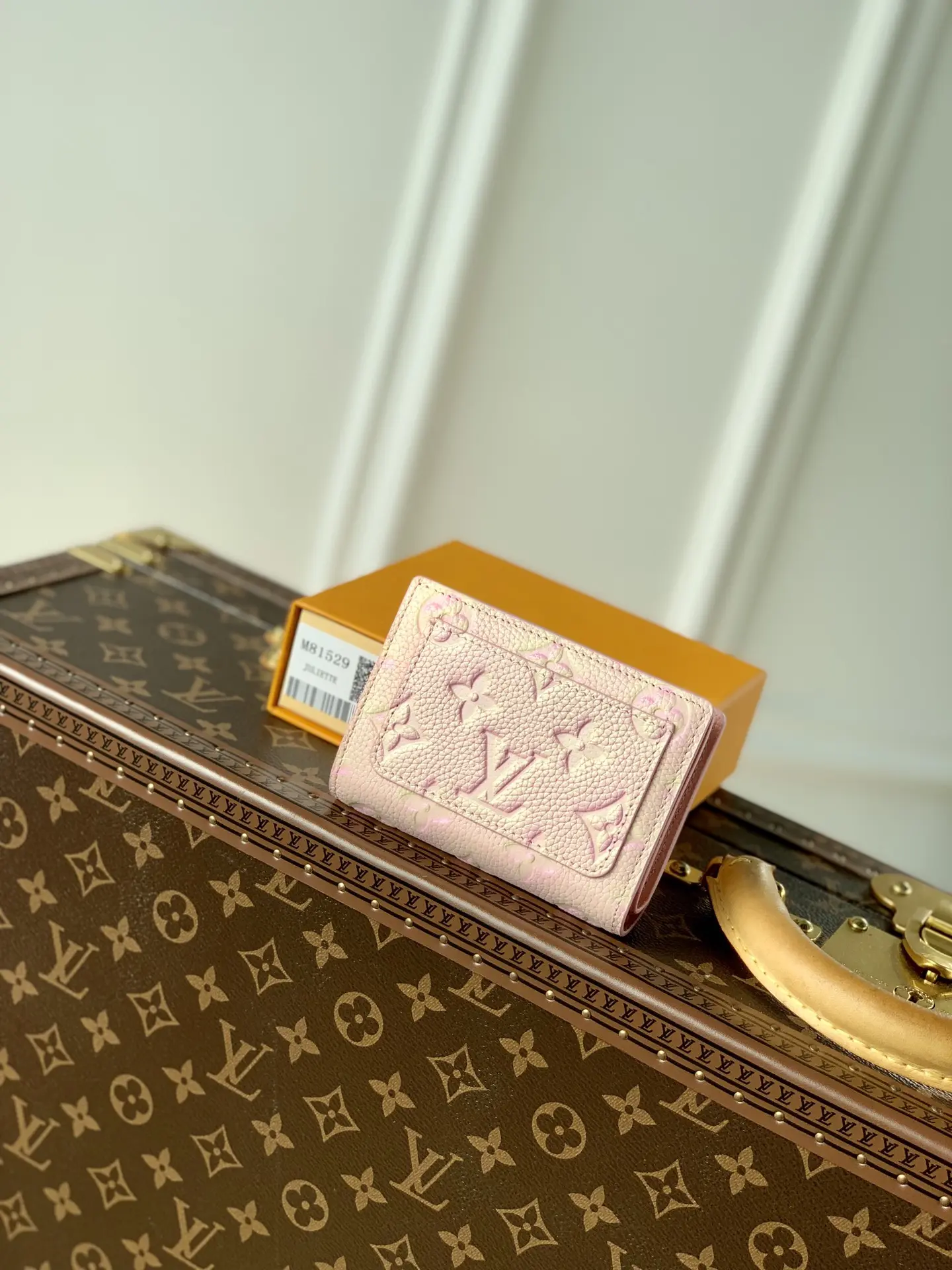 Louis Vuitton 2022 new fashion Small Bags M81529