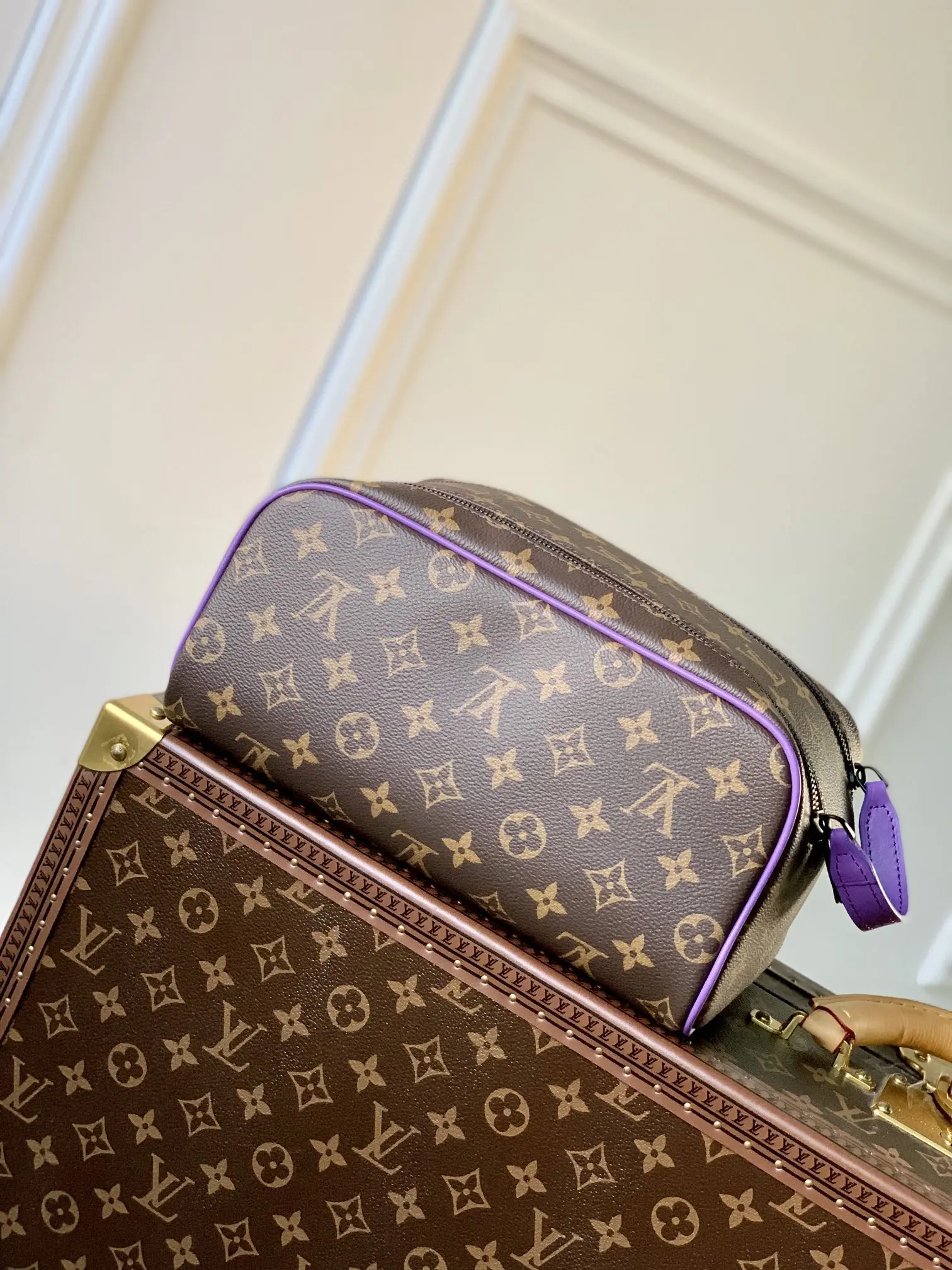 Louis Vuitton 2022 Dopp Kit Handbags M46253