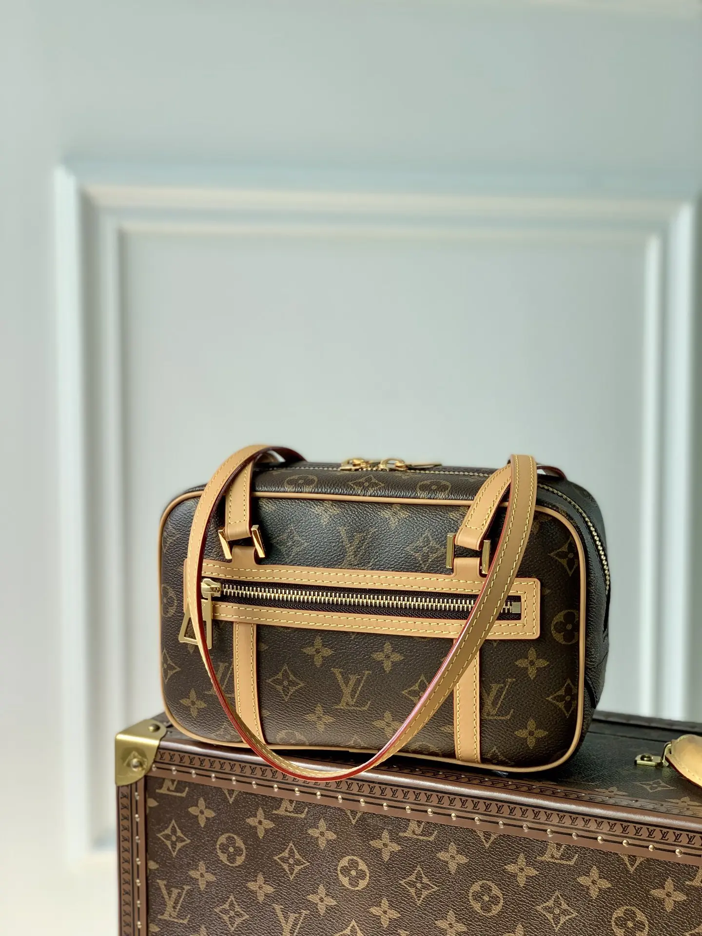 Louis Vuitton 2022 Dauphine Handbags