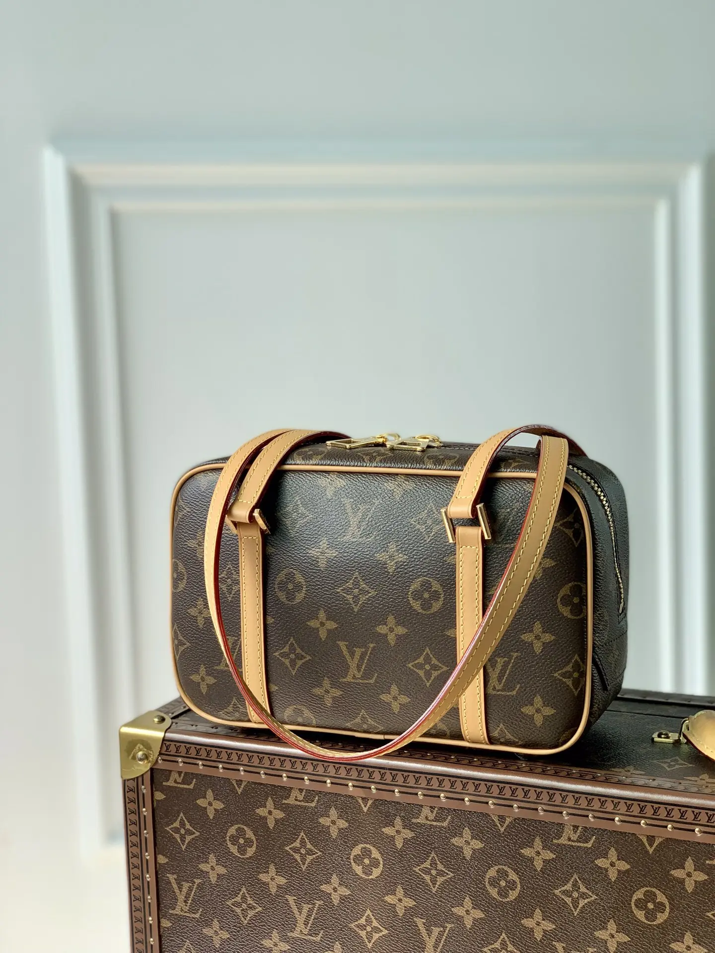 Louis Vuitton 2022 Dauphine Handbags