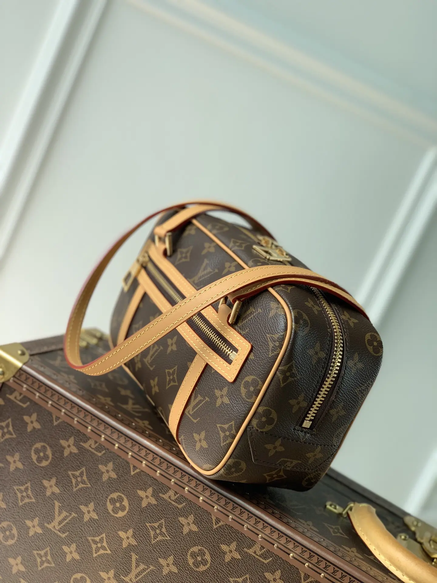 Louis Vuitton 2022 Dauphine Handbags