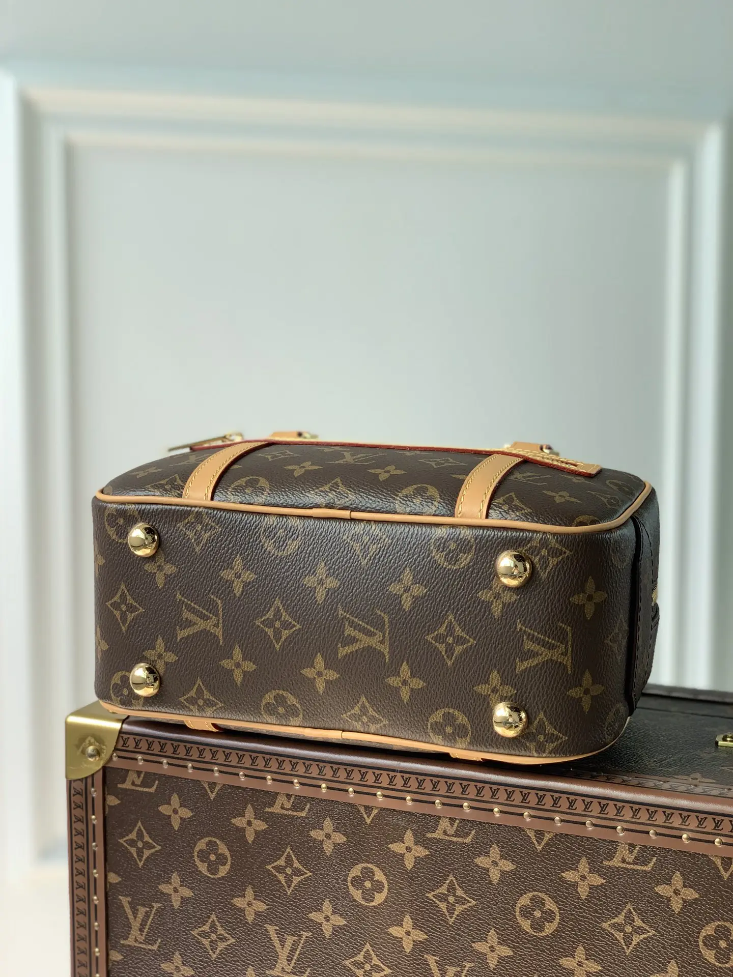 Louis Vuitton 2022 Dauphine Handbags